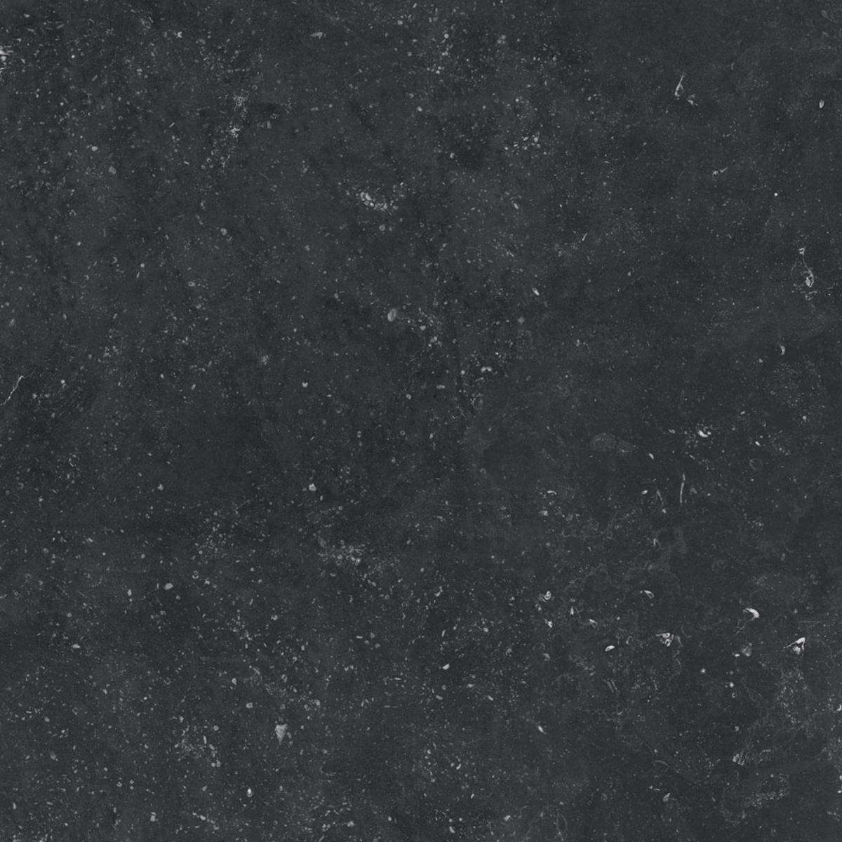 blauwe negro natural 60x60
