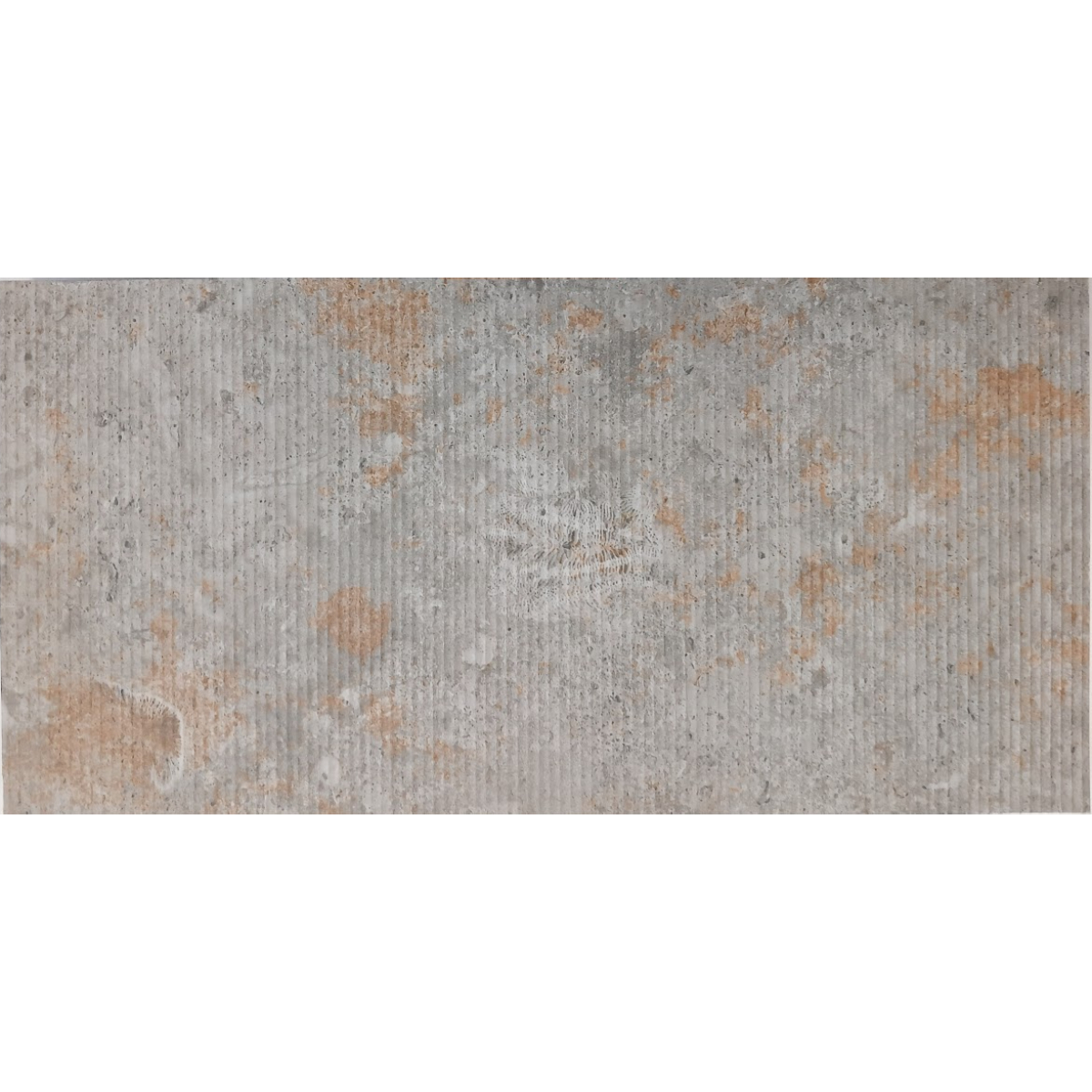 fosil decor natural 30x60