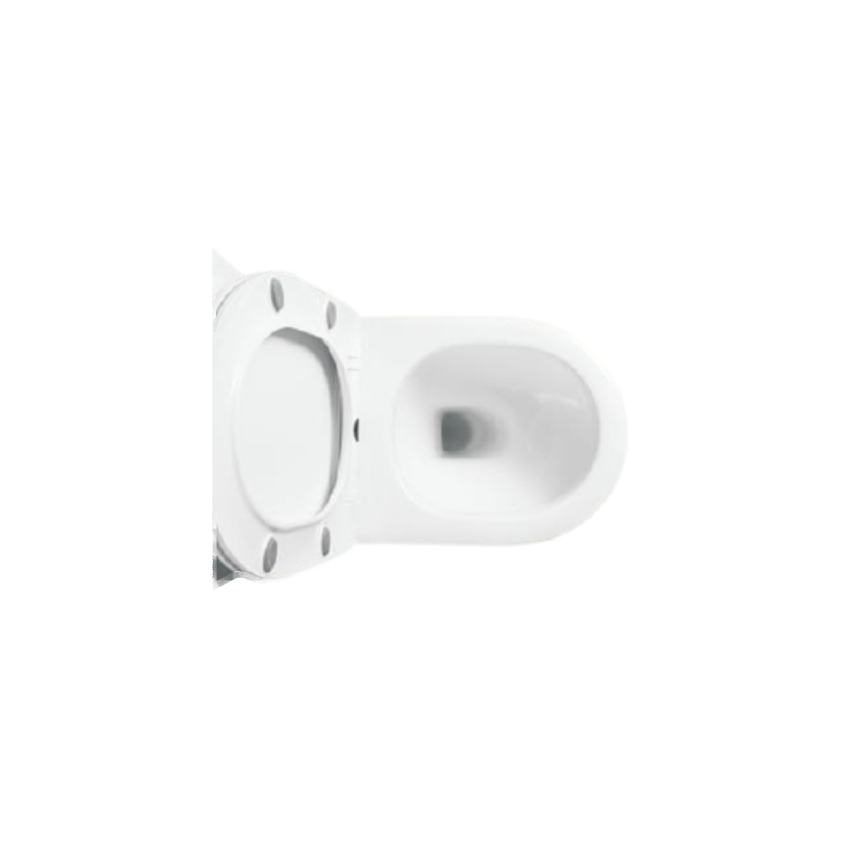 inodoro jazmin blanco (2)