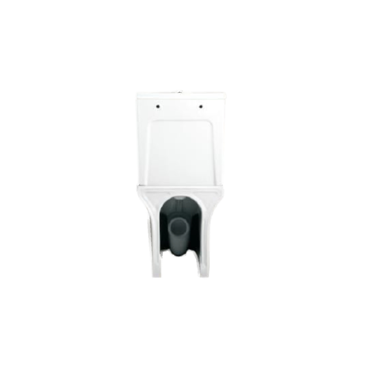 inodoro jazmin blanco (3)