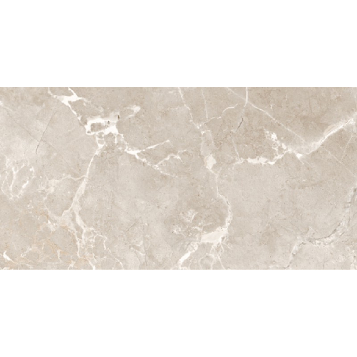 tokio taupe brillo 60x120